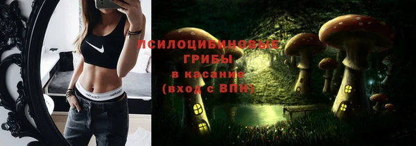 крисы Хадыженск