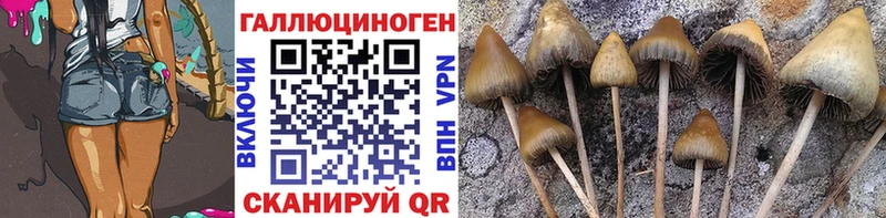 OMG ONION  где купить наркотик  Хадыженск  Псилоцибиновые грибы Psilocybe 
