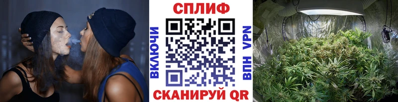 mega   Хадыженск  Канабис Ganja  наркота 